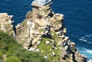 Città del Capo: visita di mezza giornata nella Penisola del Capo con i pinguini