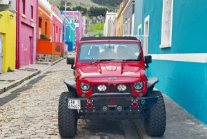 Cape Town: Cape Peninsula Jeep Safari Adventure