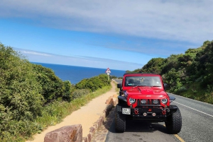 Cape Town: Cape Peninsula Jeep Safari Adventure