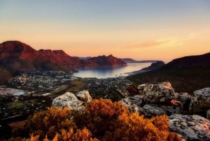 Kaapstad: privérondleiding van een halve dag op het Kaapse Schiereiland