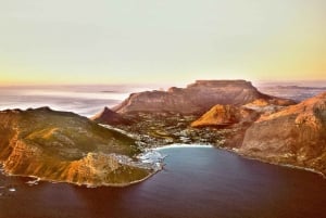Le Cap : Circuit privé d'une demi-journée dans la péninsule du Cap