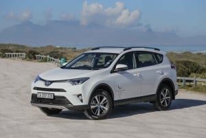 Кейптаун: Частный тур на Капский полуостров на полдня