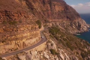 Кейптаун: Частный тур на Капский полуостров на полдня