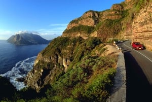 Le Cap : visite privée d'une demi-journée de la péninsule du Cap