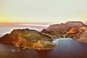 Le Cap : visite privée d'une demi-journée de la péninsule du Cap