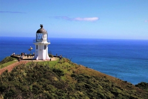 Cidade do Cabo: excursão privada à Península do Cabo