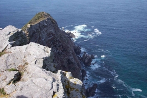 Cidade do Cabo: excursão privada à Península do Cabo