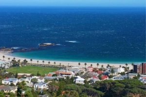 Cape Town: Cape Peninsula scenic drive with Airport Transfer