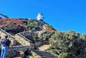 Cape Town: Cape Peninsula scenic drive with Airport Transfer