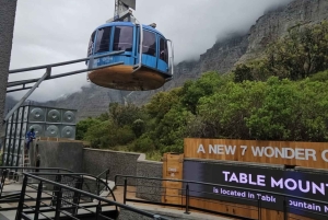 Cape Town: Cape Peninsula scenic drive with Airport Transfer