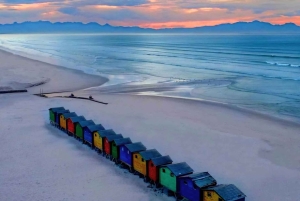 Cape Town: Cape Peninsula scenic drive with Airport Transfer