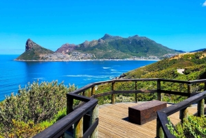 Cape Town: Cape Peninsula scenic drive with Airport Transfer
