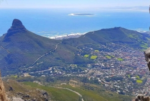 Cape Town: Cape Peninsula scenic drive with Airport Transfer