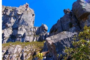 Cape Town: Cape Peninsula scenic drive with Airport Transfer