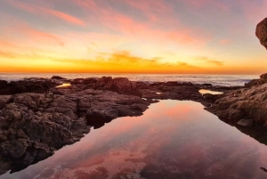 Cape Town: Cape Peninsula scenic drive with Airport Transfer