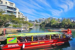 Cape Town: Cape Peninsula scenic drive with Airport Transfer