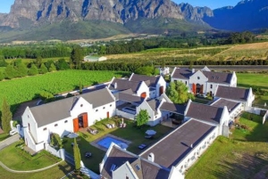 Cape Town: Cape Peninsula scenic drive with Airport Transfer