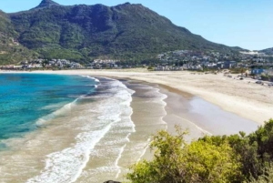 Cape Town: Cape Peninsula scenic drive with Airport Transfer