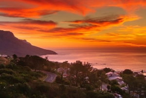 Cape Town: Cape Peninsula scenic drive with Airport Transfer
