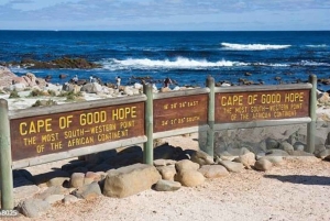 Cape Town: Cape Peninsula scenic drive with Airport Transfer