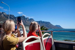 Kaapstad: Cape Point en Boulders Beach Dagtour