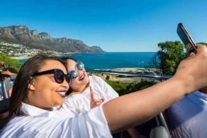 Kaapstad: Cape Point en Boulders Beach Dagtour