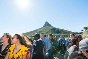 Cape Town: Dagstur til Cape Point og Boulders Beach