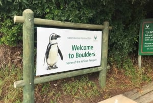 Cape Town: Cape Point and Boulders Beach Small Group Tour