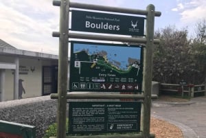 Cape Town: Cape Point and Boulders Beach Small Group Tour