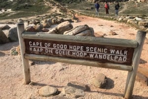 Cape Town: Cape Point and Boulders Beach Small Group Tour