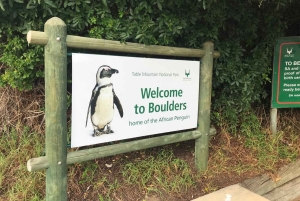 Kapsztad: Wycieczka w małej grupie do Cape Point i Boulders Beach