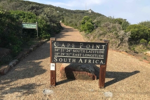 Kapsztad: Wycieczka w małej grupie do Cape Point i Boulders Beach