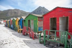 Kaapstad: Cape Point, Boulders Beach en Simon's Town Tour