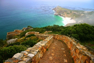 Kaapstad: Cape Point, Boulders Beach en Simon's Town Tour