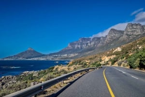 Kaapstad: Cape Point, Boulders Beach en Simon's Town Tour