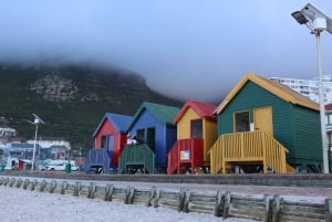 Cape Town: Cape Point & Boulders Beach dagstur