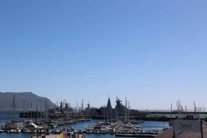 Kapstaden: Dagstur till Kapspetsen och Boulders Beach