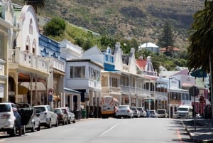 Kapstaden: Dagstur till Kapspetsen och Boulders Beach