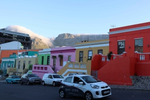Cape Town: Dagstur til Cape Point og Boulders Beach