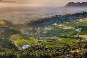 Cape Town: Cape Point, Constantia Wine Tour Private Transfer