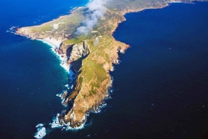 Cape Town: Cape Point, Constantia Wine Tour Private Transfer