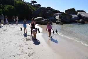 Cape Town: Cape Point, Constantia Wine Tour Private Transfer