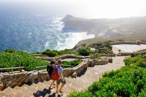 Cape Town: Cape Point, Constantia Wine Tour Private Transfer