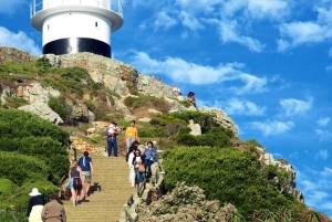 Cape Town: Cape Point, Constantia Wine Tour Private Transfer