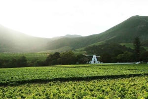 Cape Town: Cape Point, Constantia Wine Tour Private Transfer