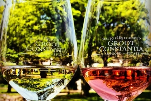 Cape Town: Cape Point, Constantia Wine Tour Private Transfer