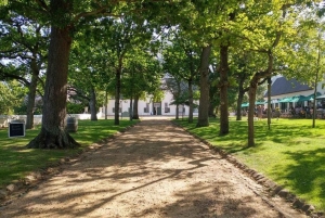 Cape Town: Cape Point, Constantia Wine Tour Private Transfer