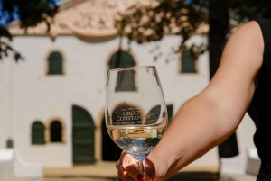 Cape Town: Cape Point, Constantia Wine Tour Private Transfer