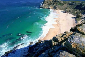 Cape Town: Cape Point, Constantia Wine Tour Private Transfer