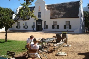 Cape Town: Cape Point, Constantia Wine Tour Private Transfer